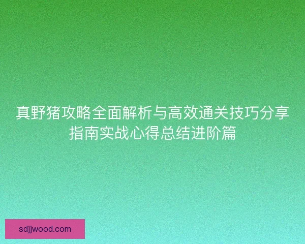 真野猪攻略全面解析与高效通关技巧分享指南实战心得总结进阶篇