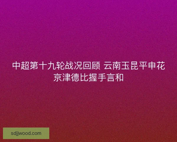 中超第十九轮战况回顾 云南玉昆平申花京津德比握手言和