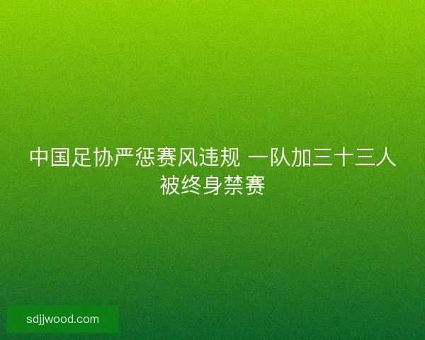 中国足协严惩赛风违规 一队加三十三人被终身禁赛