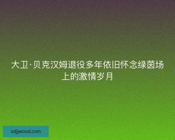 大卫·贝克汉姆退役多年依旧怀念绿茵场上的激情岁月