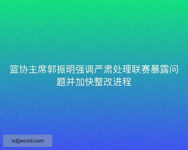 篮协主席郭振明强调严肃处理联赛暴露问题并加快整改进程