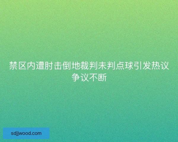 禁区内遭肘击倒地裁判未判点球引发热议争议不断