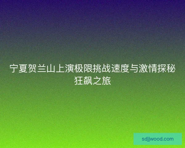 宁夏贺兰山上演极限挑战速度与激情探秘狂飙之旅