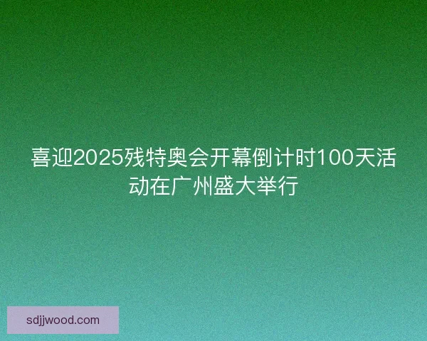 喜迎2025残特奥会开幕倒计时100天活动在广州盛大举行