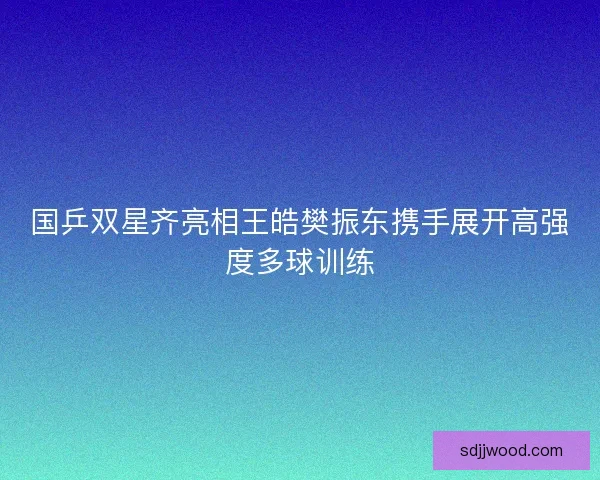国乒双星齐亮相王皓樊振东携手展开高强度多球训练